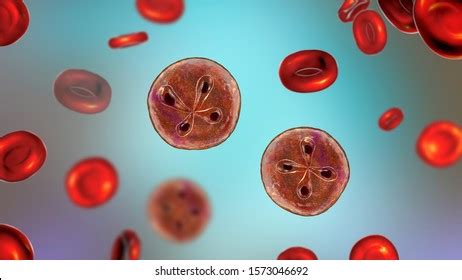  Babesia! Un Parasite Rusé Qui Sème le Chaos Dans la Sang