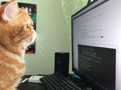 javascript 難易度: なぜ猫はコードを書けないのか？