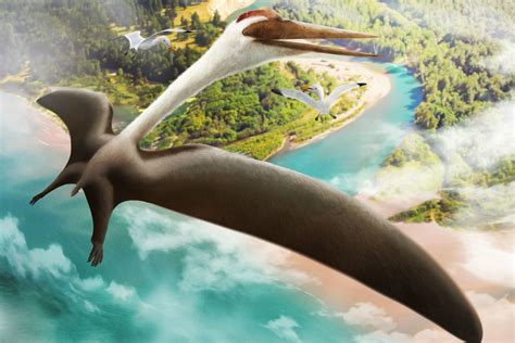  Quel Quetzalcoatlus: Un Géant Préhistorique aux Envergures Démesurées Qui A Défifié la Notion de Vol!