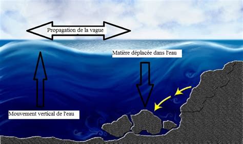  Scalibregma! Un Vers Marin Inattendu qui Forme des Tunnels Fantastiques sous les Océans