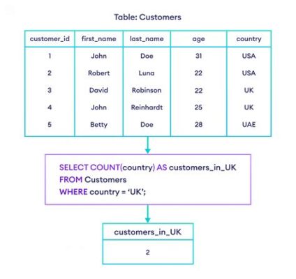 sql count 条件: データベースの深淵を覗くための鍵