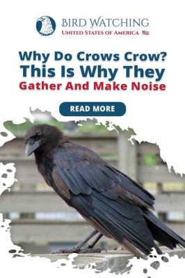 コールセンター 熊本: なぜ熊本のカラスは電話をかけるのか？